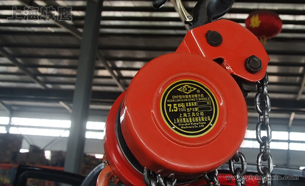 DHP群吊电葫芦细节